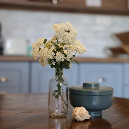 Apartment Dimant Burgas